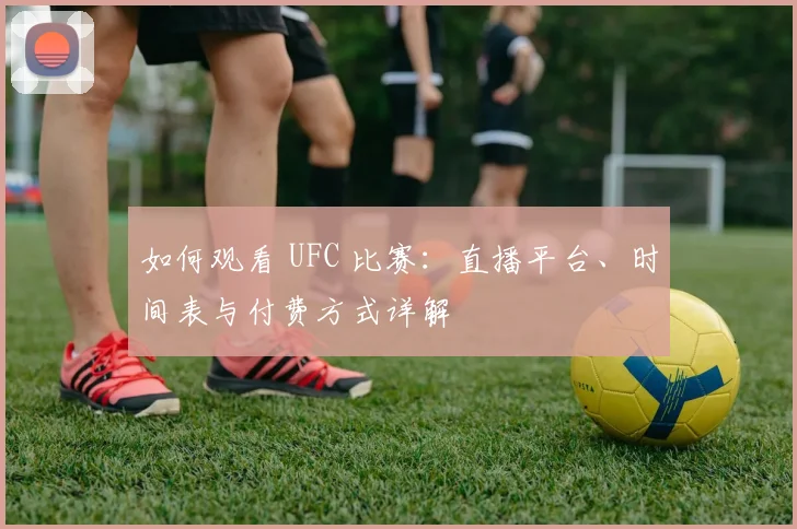 如何观看 UFC 比赛：直播平台、时间表与付费方式详解