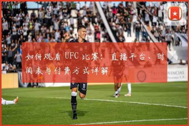 如何观看 UFC 比赛：直播平台、时间表与付费方式详解